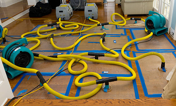 Professional Burst Pipe Water Damage technician working in Jessup, MD